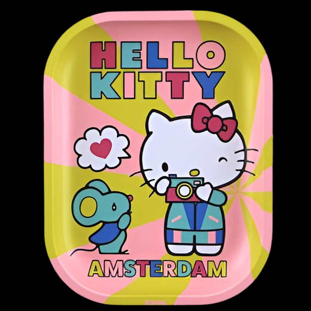 G-Rollz Hello Kitty Small Metal Tray - Camera Amsterdam (14 x 18cm)